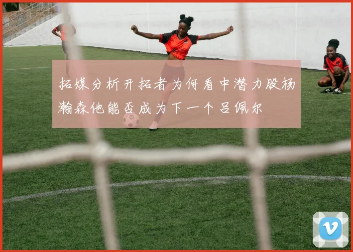 拓媒分析开拓者为何看中潜力股杨瀚森他能否成为下一个吕佩尔