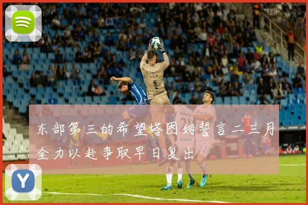 东部第三的希望塔图姆誓言二三月全力以赴争取早日复出